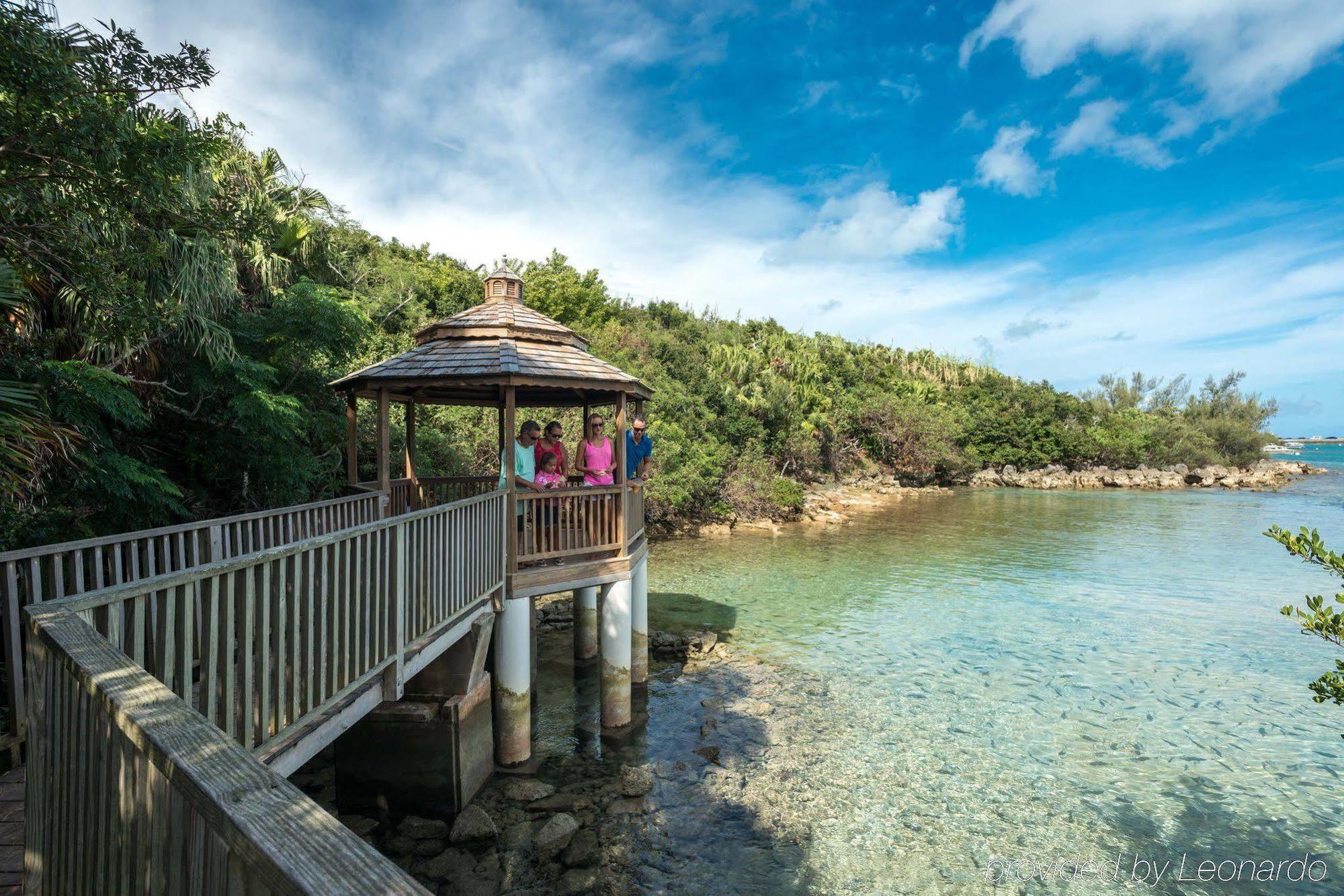 Grotto Bay Beach Resort Hamilton Parish Dış mekan fotoğraf